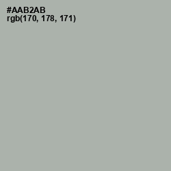 #AAB2AB - Silver Chalice Color Image