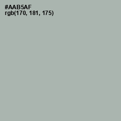 #AAB5AF - Silver Chalice Color Image