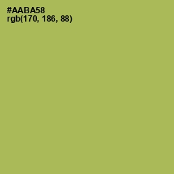 #AABA58 - Olive Green Color Image