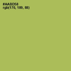#AABD58 - Olive Green Color Image