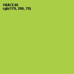#AACE46 - Conifer Color Image