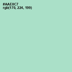 #AAE0C7 - Padua Color Image