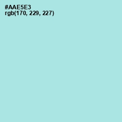 #AAE5E3 - Blizzard Blue Color Image