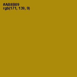 #AB8B09 - Hot Toddy Color Image