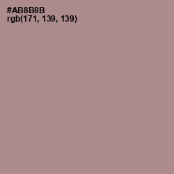 #AB8B8B - Brandy Rose Color Image