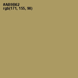 #AB9B62 - Teak Color Image