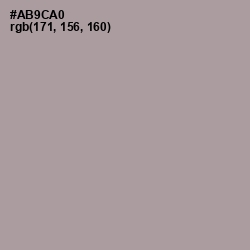 #AB9CA0 - Amethyst Smoke Color Image