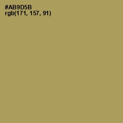 #AB9D5B - Muesli Color Image