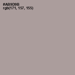 #AB9D9B - Dusty Gray Color Image