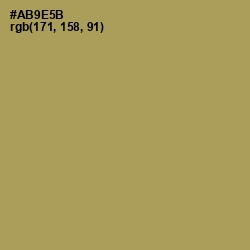 #AB9E5B - Muesli Color Image