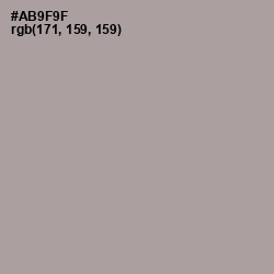 #AB9F9F - Dusty Gray Color Image