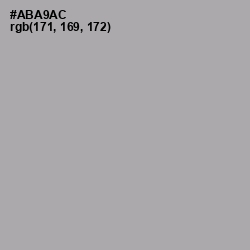 #ABA9AC - Silver Chalice Color Image