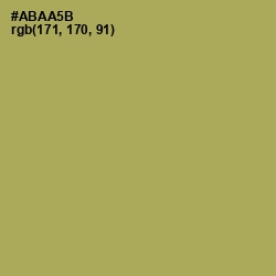 #ABAA5B - Olive Green Color Image