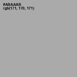 #ABAAAB - Silver Chalice Color Image