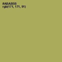 #ABAB5B - Olive Green Color Image