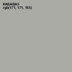 #ABABA5 - Silver Chalice Color Image