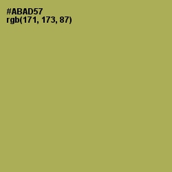 #ABAD57 - Olive Green Color Image