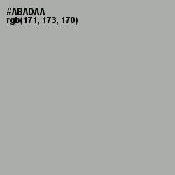 #ABADAA - Silver Chalice Color Image