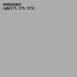 #ABADAD - Silver Chalice Color Image