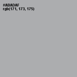 #ABADAF - Silver Chalice Color Image