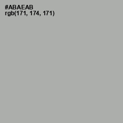 #ABAEAB - Silver Chalice Color Image