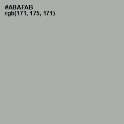 #ABAFAB - Silver Chalice Color Image