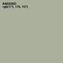 #ABB09D - Schist Color Image