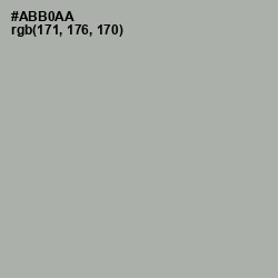 #ABB0AA - Silver Chalice Color Image