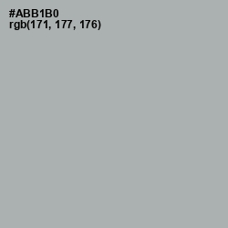 #ABB1B0 - Bombay Color Image