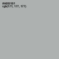 #ABB1B1 - Bombay Color Image