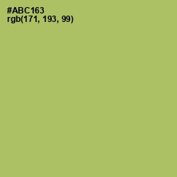 #ABC163 - Wild Willow Color Image