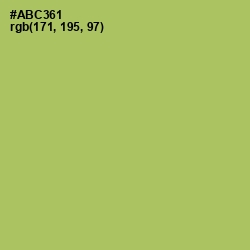 #ABC361 - Wild Willow Color Image