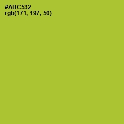 #ABC532 - Key Lime Pie Color Image