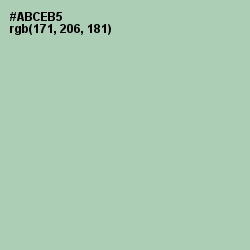 #ABCEB5 - Spring Rain Color Image