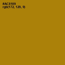 #AC8109 - Hot Toddy Color Image