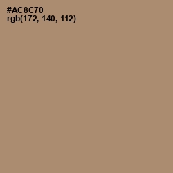 #AC8C70 - Pharlap Color Image