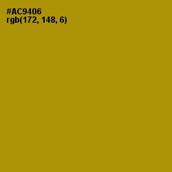 #AC9406 - Hot Toddy Color Image