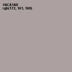 #ACA1A0 - Shady Lady Color Image