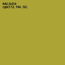 #ACA434 - Lemon Ginger Color Image