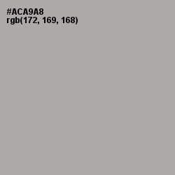 #ACA9A8 - Silver Chalice Color Image