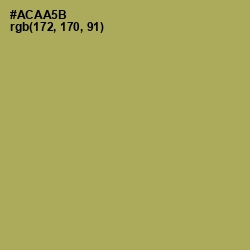 #ACAA5B - Olive Green Color Image