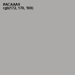 #ACAAA9 - Silver Chalice Color Image