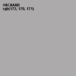 #ACAAAB - Silver Chalice Color Image