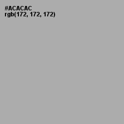 #ACACAC - Silver Chalice Color Image