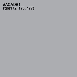 #ACADB1 - Aluminium Color Image