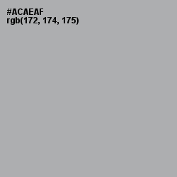 #ACAEAF - Silver Chalice Color Image