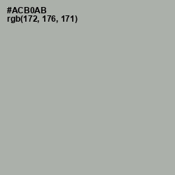 #ACB0AB - Silver Chalice Color Image