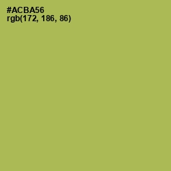 #ACBA56 - Olive Green Color Image