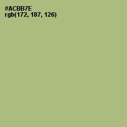#ACBB7E - Green Smoke Color Image