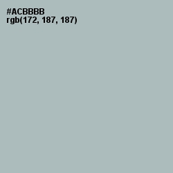 #ACBBBB - Tower Gray Color Image